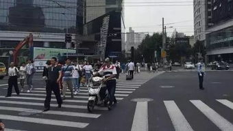牌京阁北京车牌出租如何选对靠谱平台？老司机教你避开三大陷阱