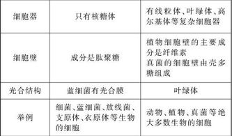 不同租赁方式对比图表